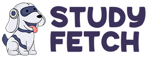 studyfetch-300px